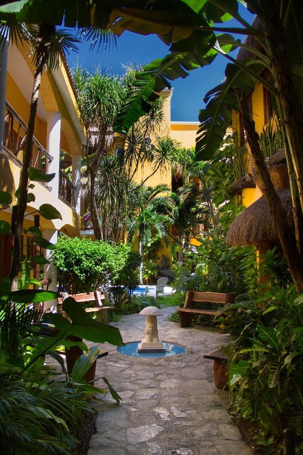 Hotel Bosque Caribe, 5Th Av. Zone 신데 델 카르멘 외부 사진