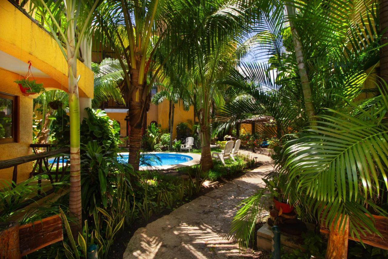 Hotel Bosque Caribe, 5Th Av. Zone 신데 델 카르멘 외부 사진