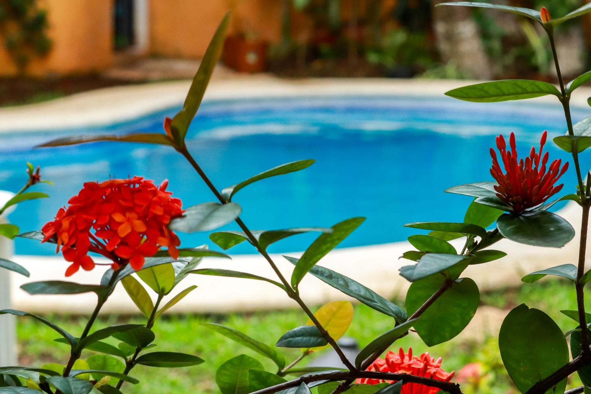 Hotel Bosque Caribe, 5Th Av. Zone 신데 델 카르멘 외부 사진