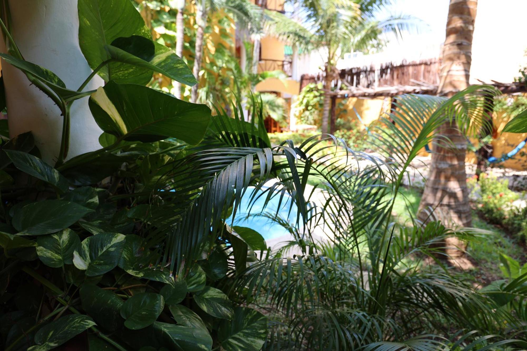 Hotel Bosque Caribe, 5Th Av. Zone 신데 델 카르멘 외부 사진