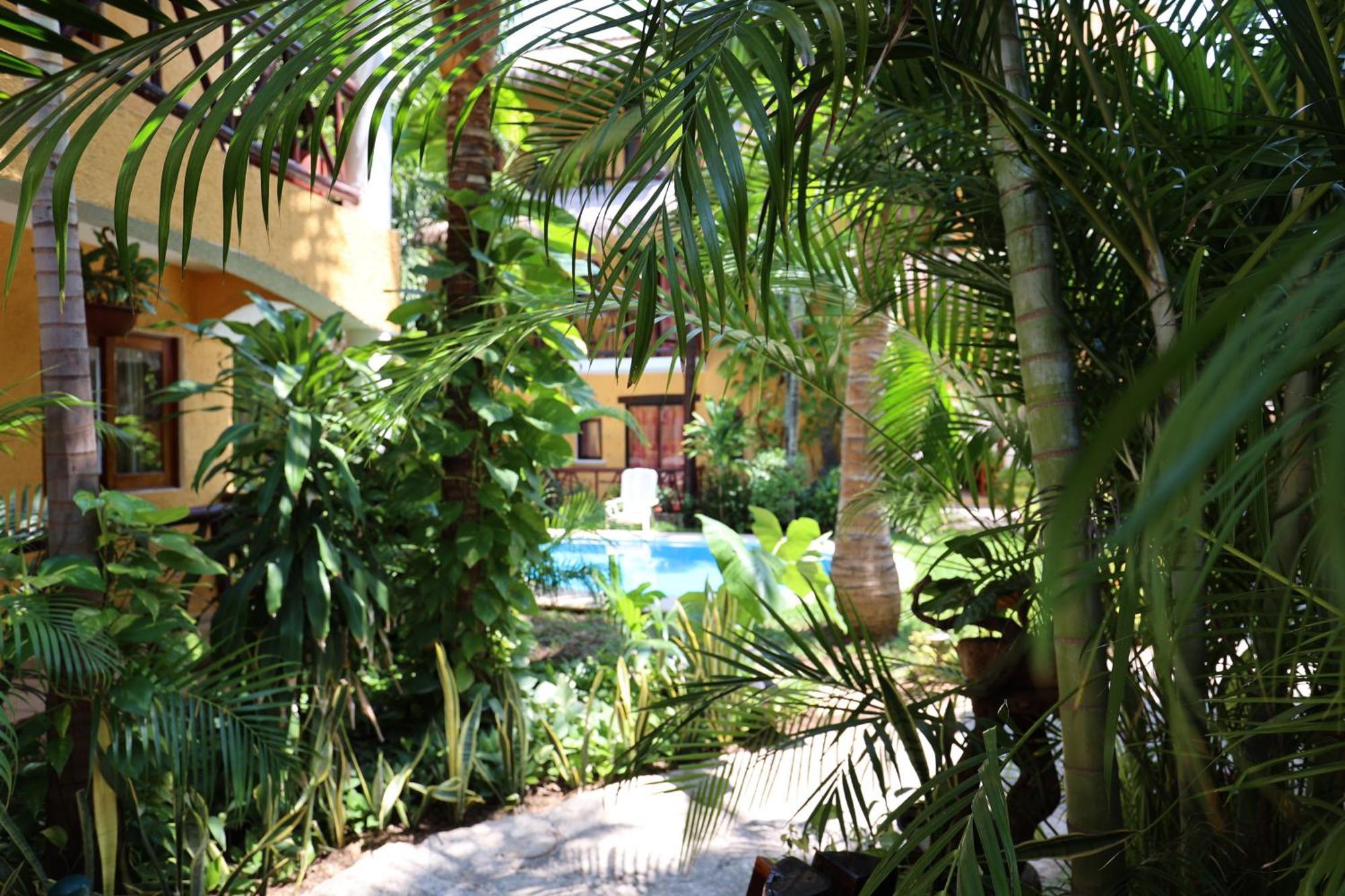 Hotel Bosque Caribe, 5Th Av. Zone 신데 델 카르멘 외부 사진