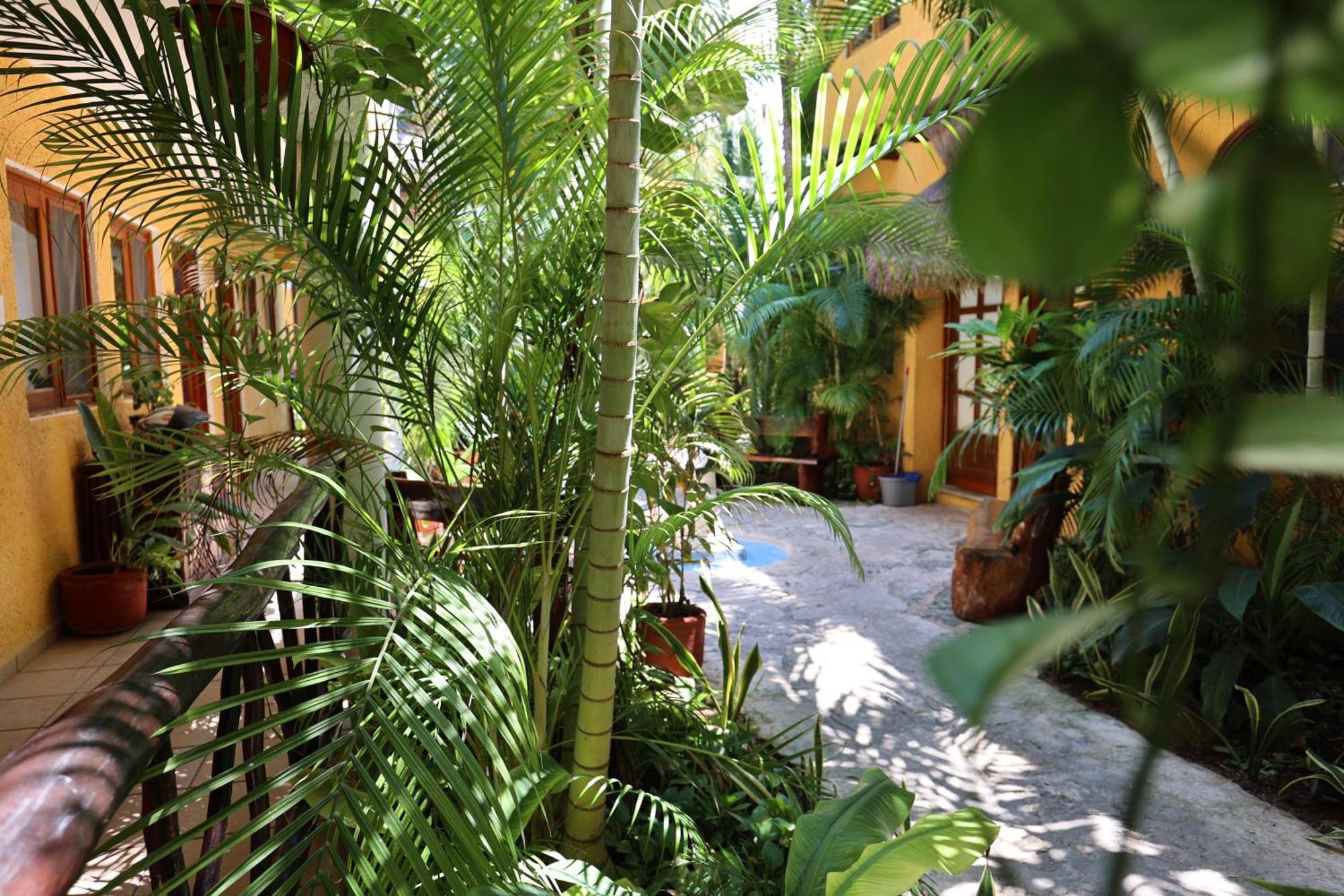 Hotel Bosque Caribe, 5Th Av. Zone 신데 델 카르멘 외부 사진