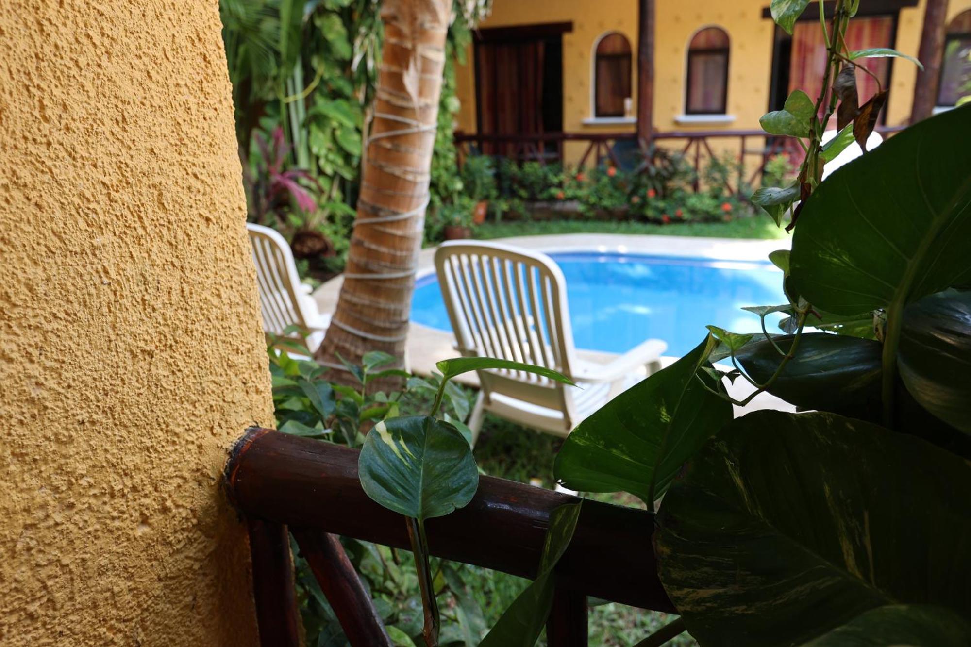 Hotel Bosque Caribe, 5Th Av. Zone 신데 델 카르멘 외부 사진
