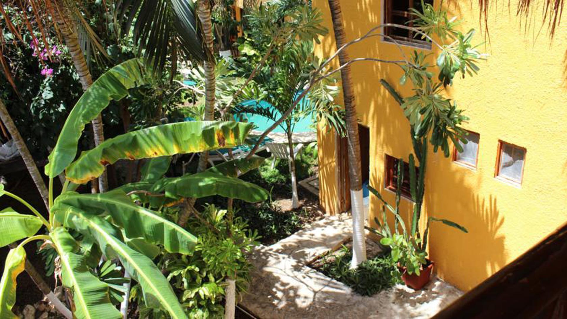 Hotel Bosque Caribe, 5Th Av. Zone 신데 델 카르멘 외부 사진